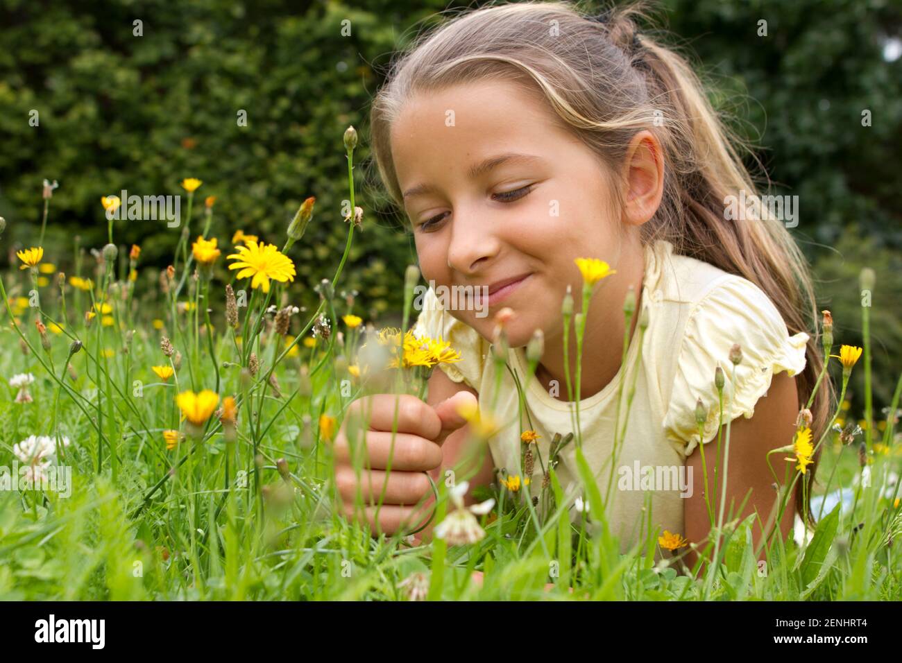 Maechen liegt in einer Wiese und betrachtet Blumen, MR: YES Stock Photo