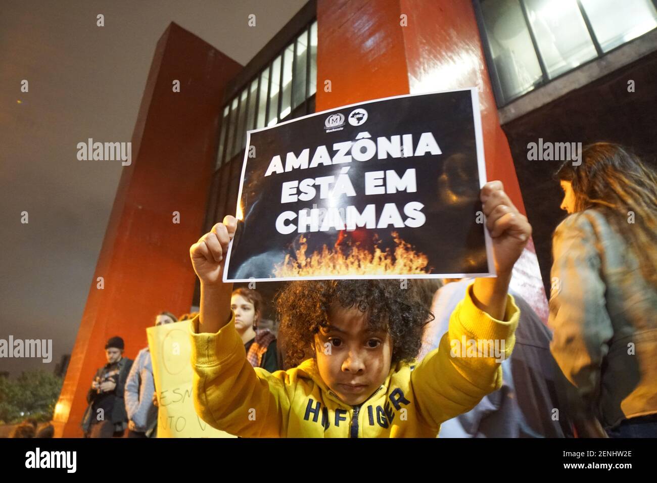 São Paulo (SP), 23/18/2019 - AMAZONIA PROTEST - People participate in a ...