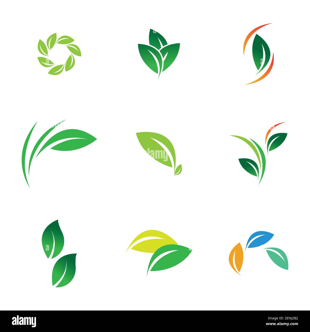green leaf logo set vector illustration design template Stock Vector