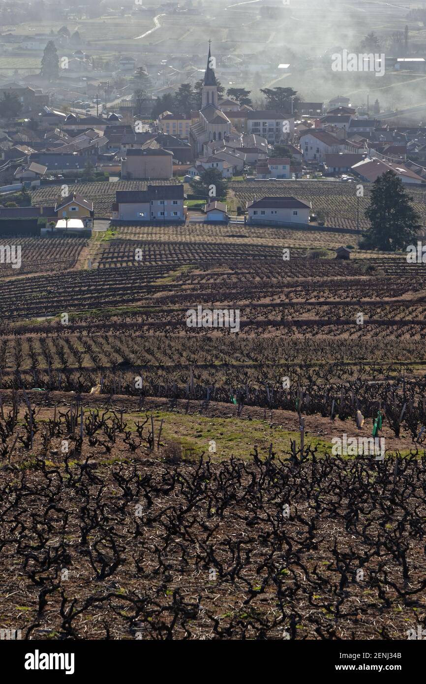 The village of Fleurie, in Beaujolais region, in a foggy morning Stock Photo