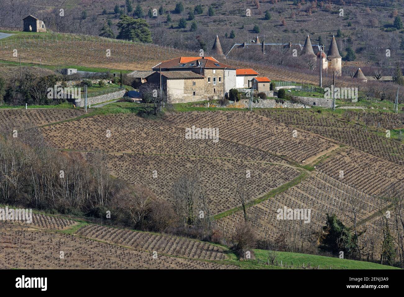 A vineyard landscape in the hills of Beaujolais Stock Photo