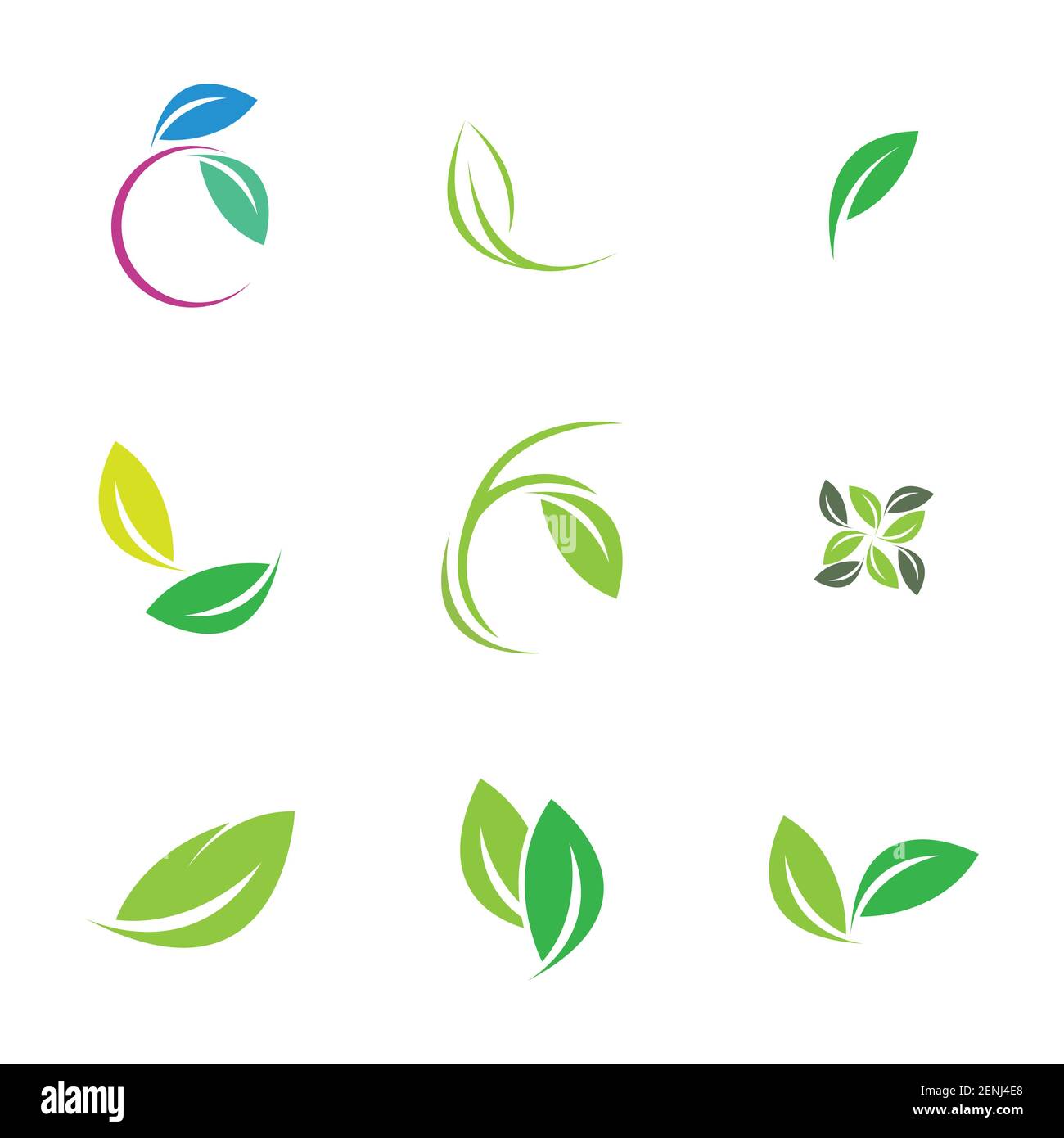 green leaf logo set vector illustration design template Stock Vector