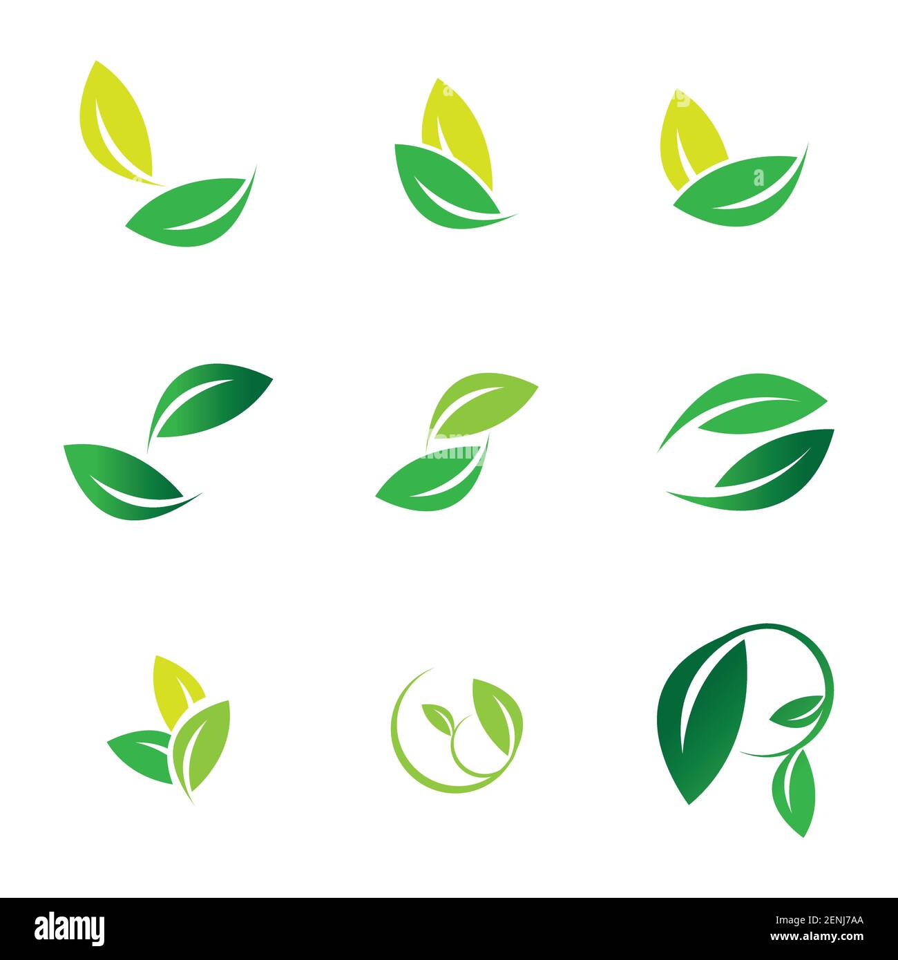 green leaf logo set vector illustration design template Stock Vector