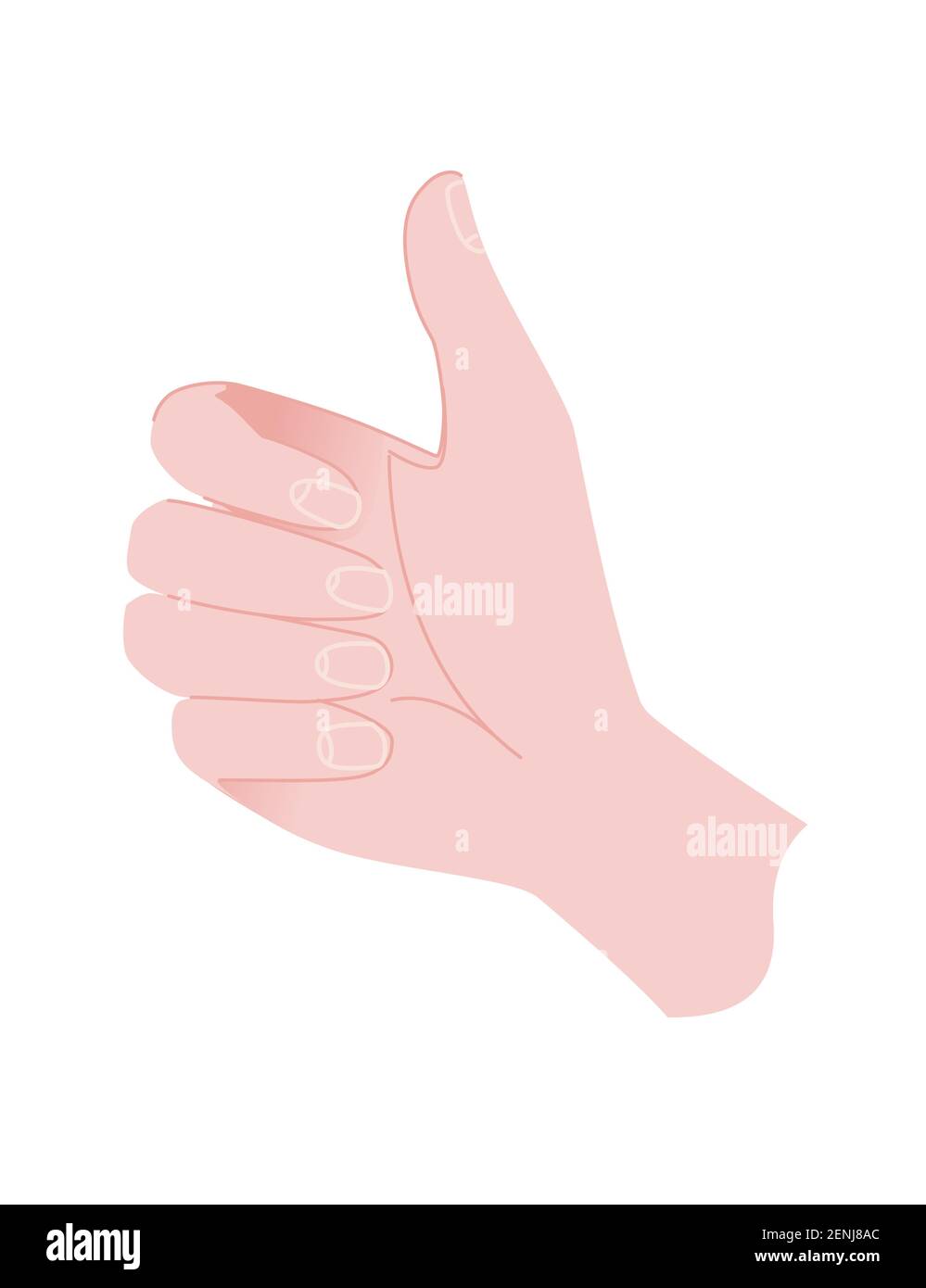 Gestures of human hand hold template flat vector illustration isolated ...