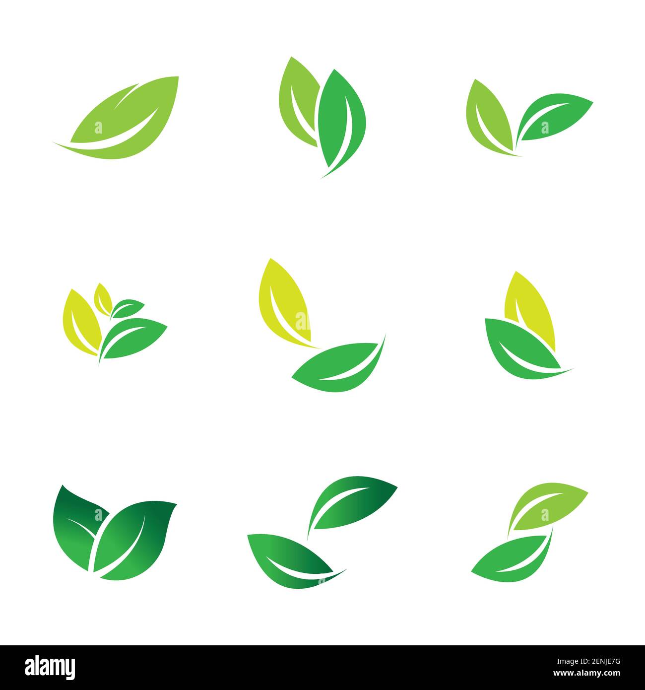 green leaf logo set vector illustration design template Stock Vector ...