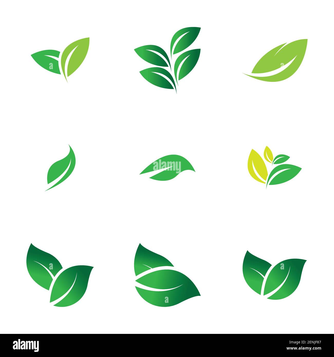 green leaf logo set vector illustration design template Stock Vector ...