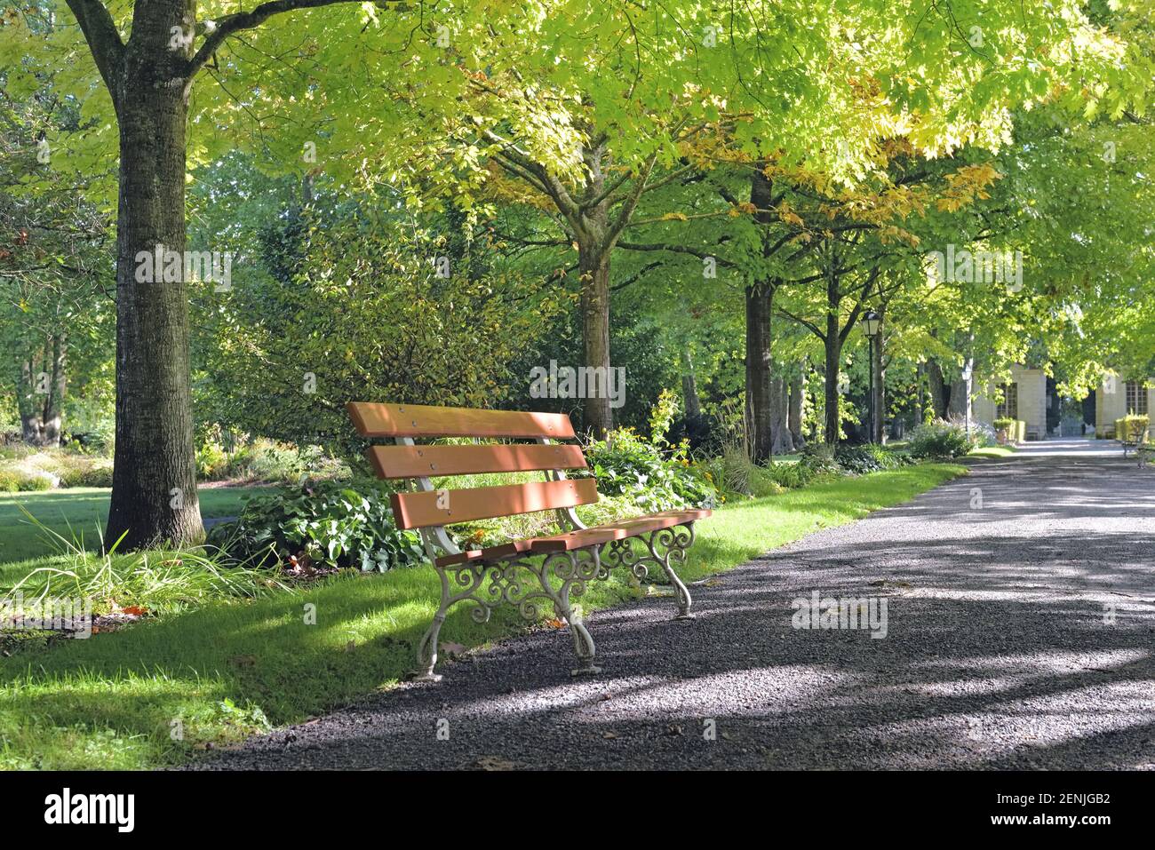 bench in an alley in a beautiful park borded by green foliage of trees ...