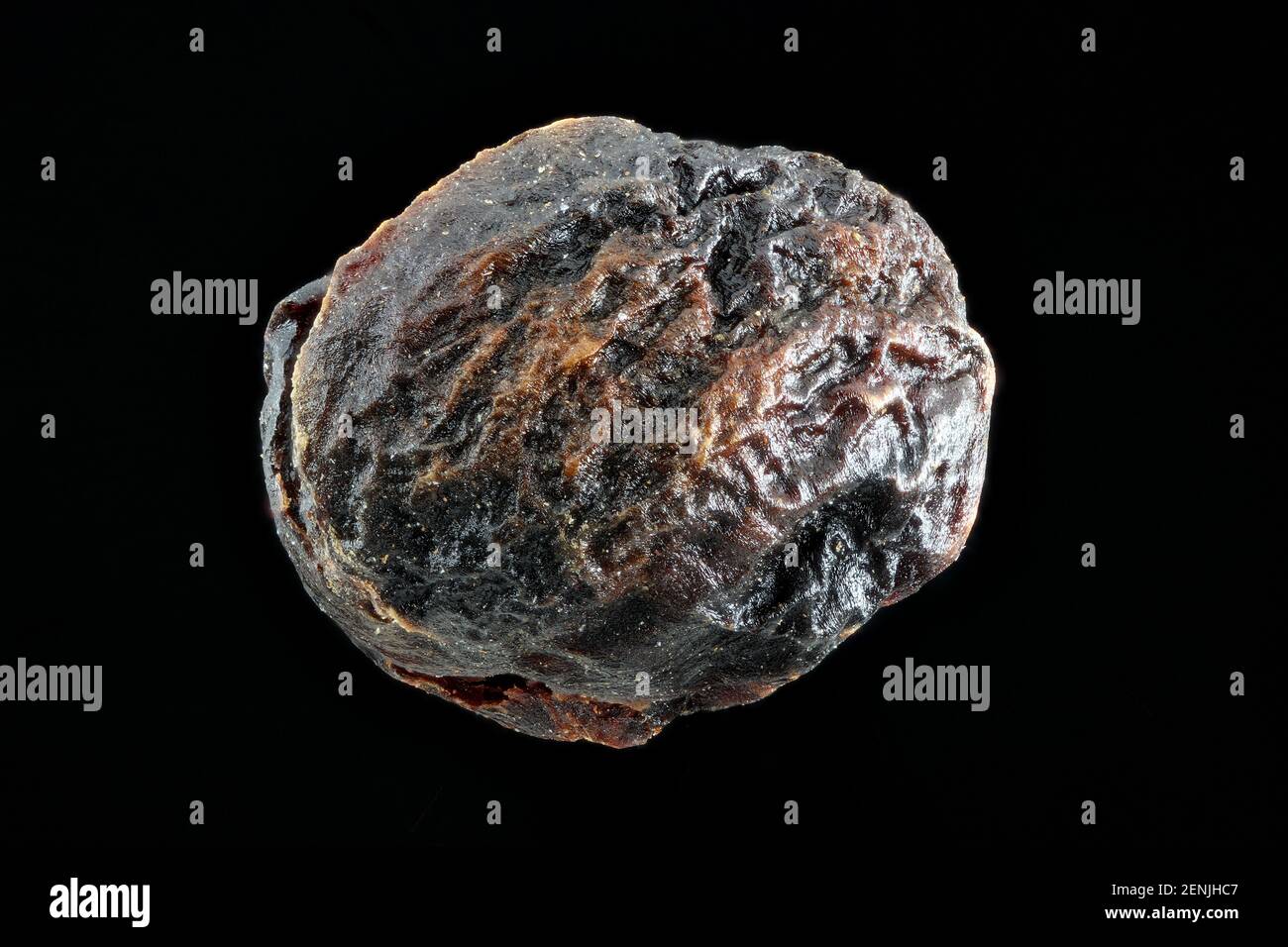 Pimenta dioica, Allspice, Piment, close up, seed, 6 mm in diameter Stock Photo