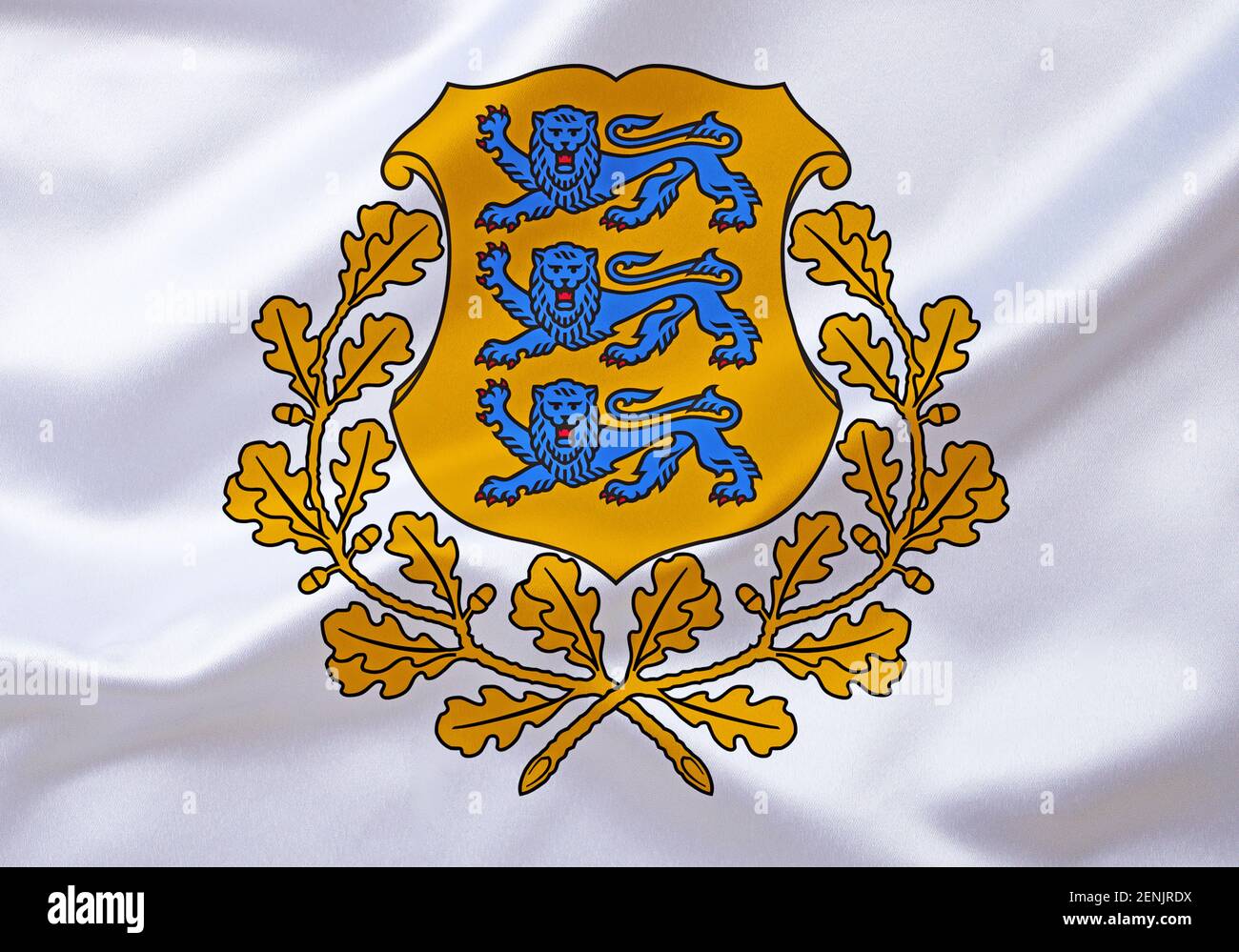 Das Wappen von Estland, Europa, EU, Nordeuropa, Stock Photo