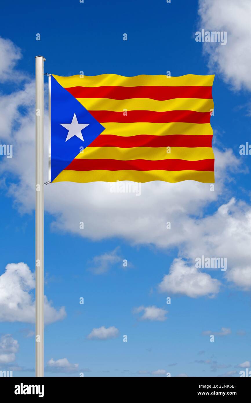 Flagge Spanien Katalonien 30x45 Cm – Aus Reißfestem Polyester, Beidseitig Bedruckt – Wetterfest