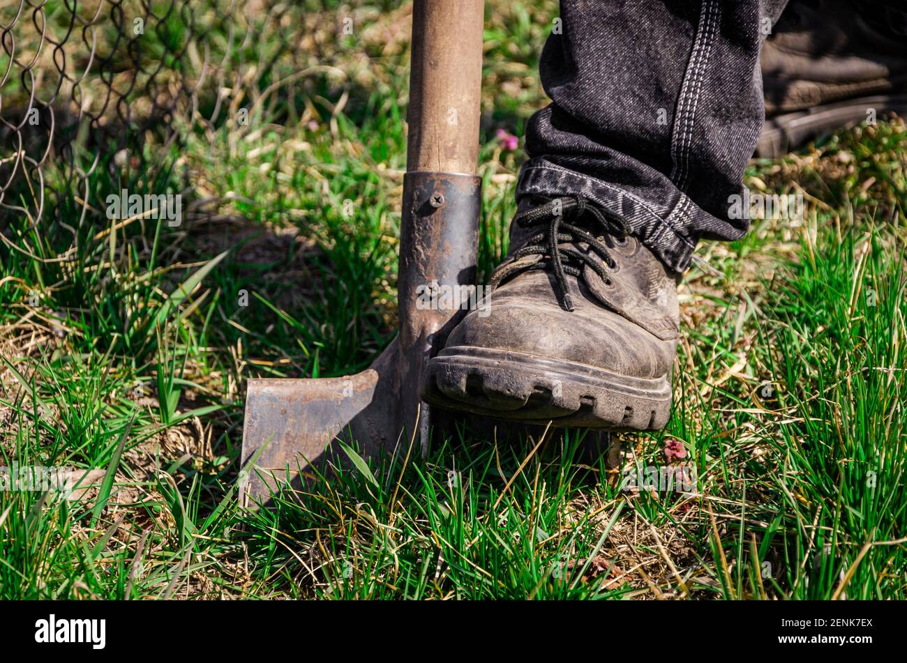 Shallow Digging Close up man digging soil hi-res stock photography and images - Alamy