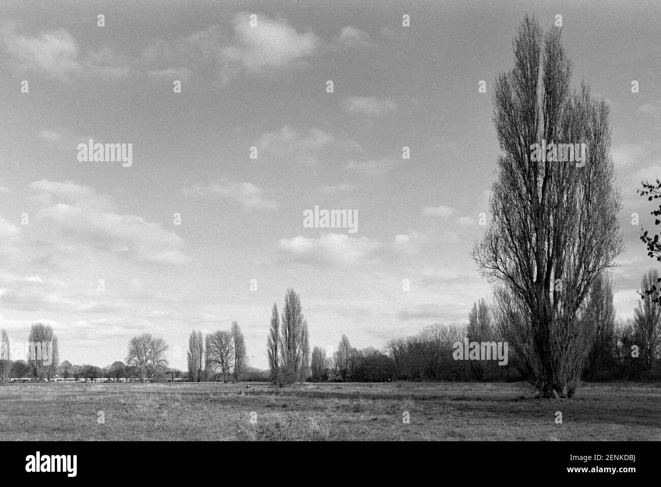 Hackney Marshes, East London, Great Britain, in the winter of 2021 Stock Photo