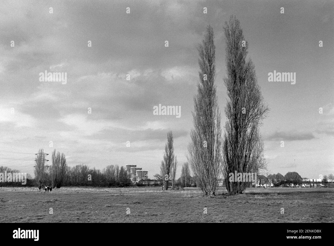 Hackney Marshes in winter, East London UK Stock Photo