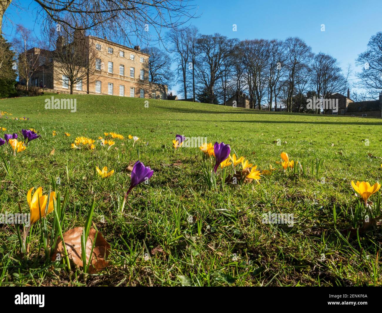 Knaresborough House a late C18 town house now town council offices in early spring Knaresborough North Yorkshire England Stock Photo