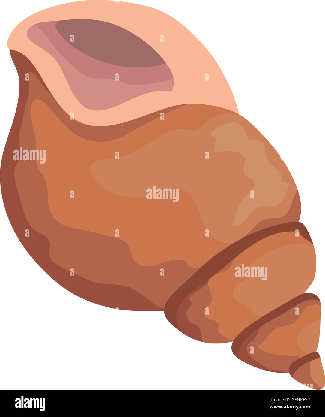 Orange shells Stock Vector Images - Alamy