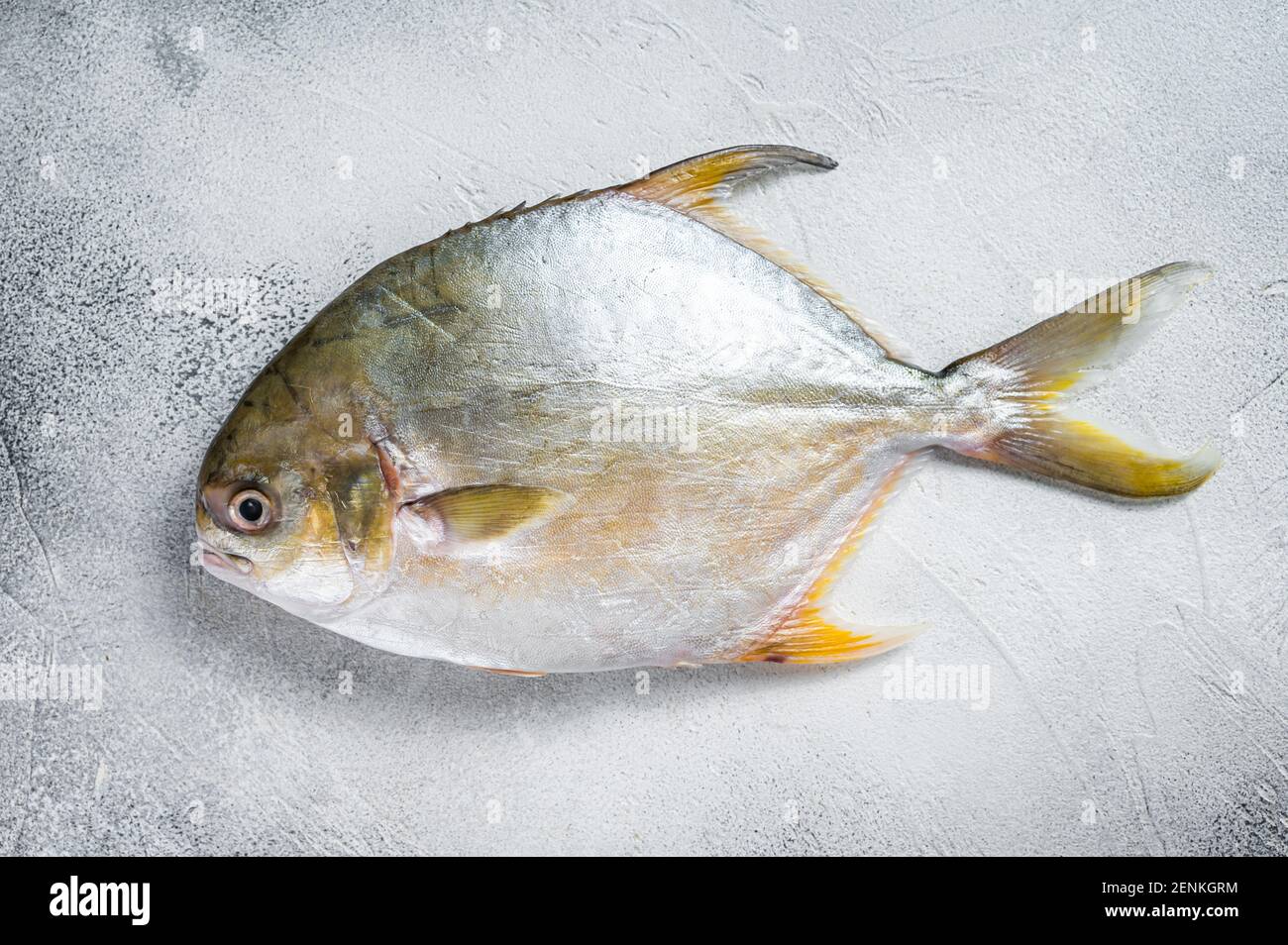 Fresh raw fish pompano on kitchen table. White background. Top view Stock Photo