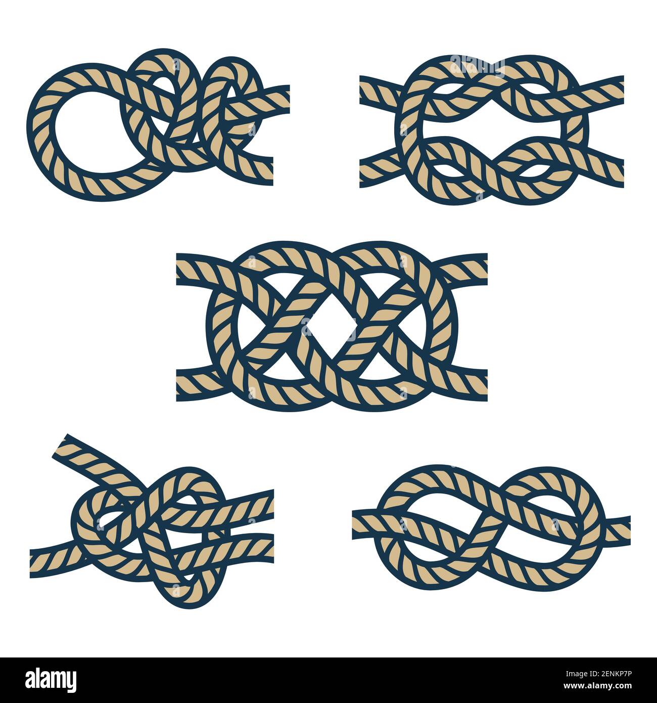 Sailing Knots Vector