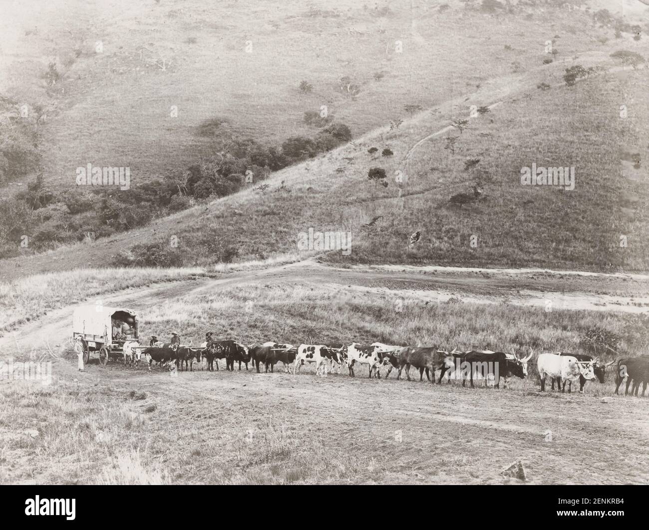 Wagon train 19th century hi-res stock photography and images - Alamy