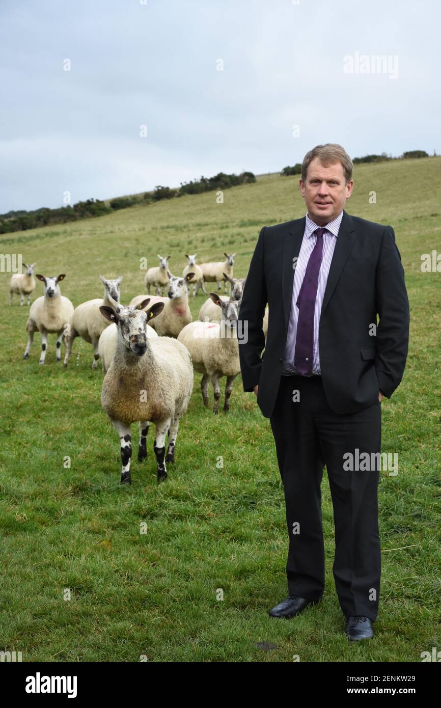 Derek the sheep hi-res stock photography and images - Alamy
