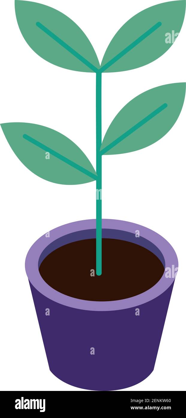 houseplant in ceramic pot isometric icon Stock Vector Image & Art - Alamy