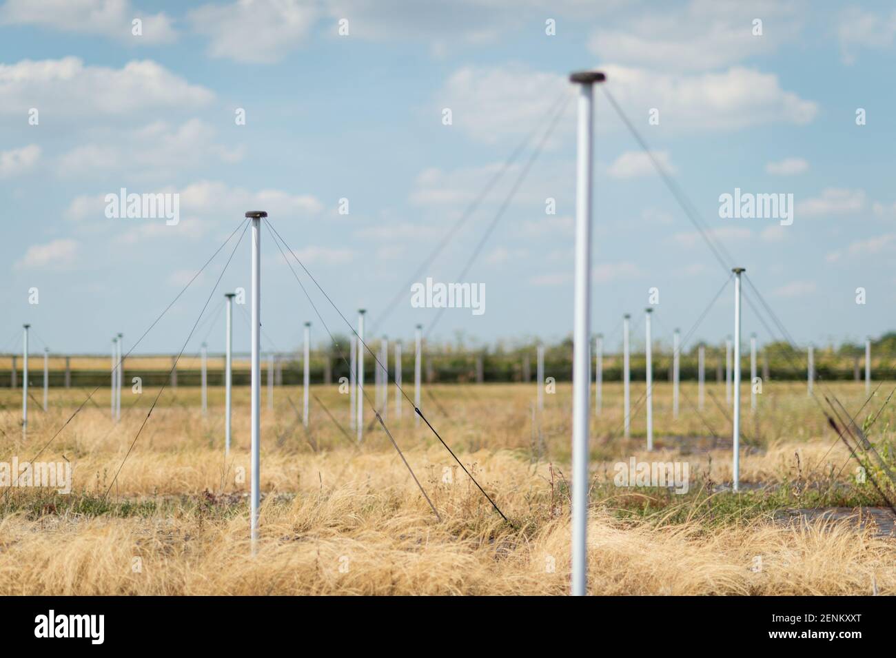 The LOw Frequency ARray (LOFAR) radio telescope at the Science and Technology Facilities Council's Chilbolton Observatory, Hampshire. Stock Photo