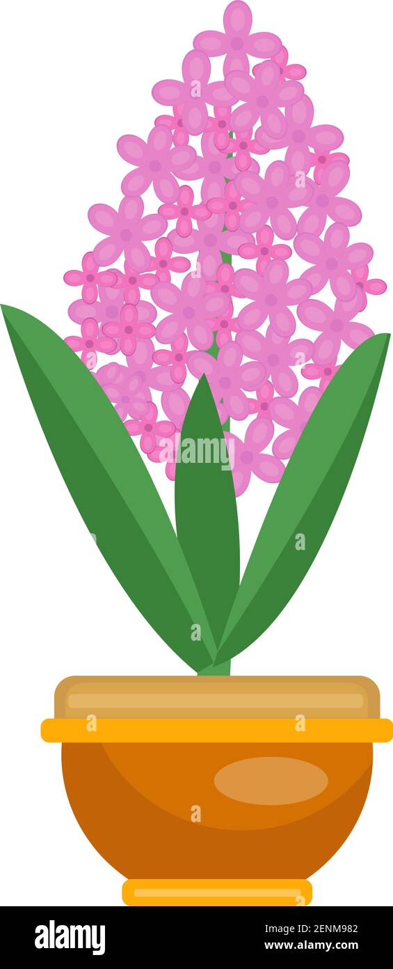 Hyacinth flower icon. Vector illustration Stock Vector Image & Art - Alamy
