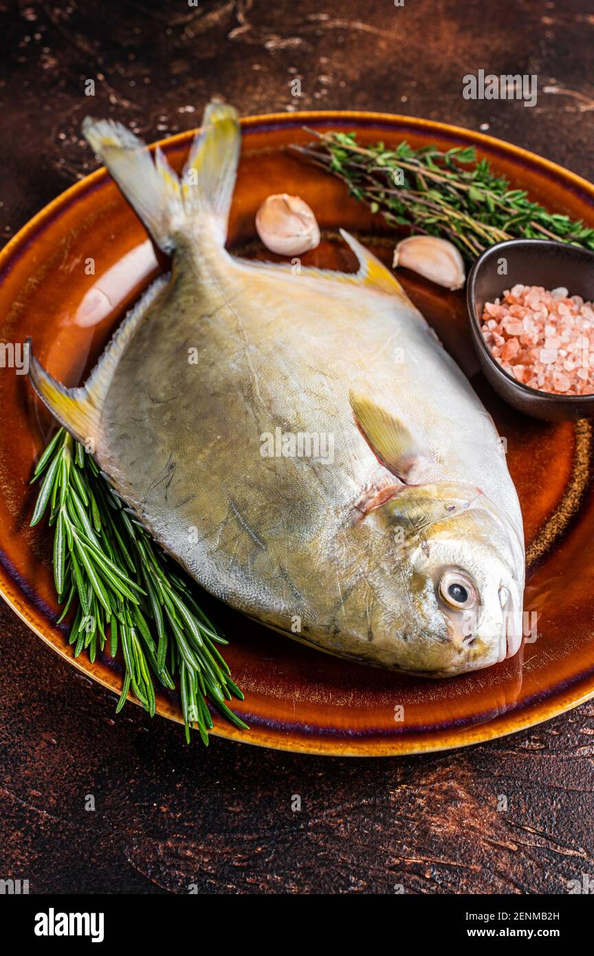 Fresh Raw Florida Pompano fish on a rustic plate. Dark background. Top view  Stock Photo - Alamy
