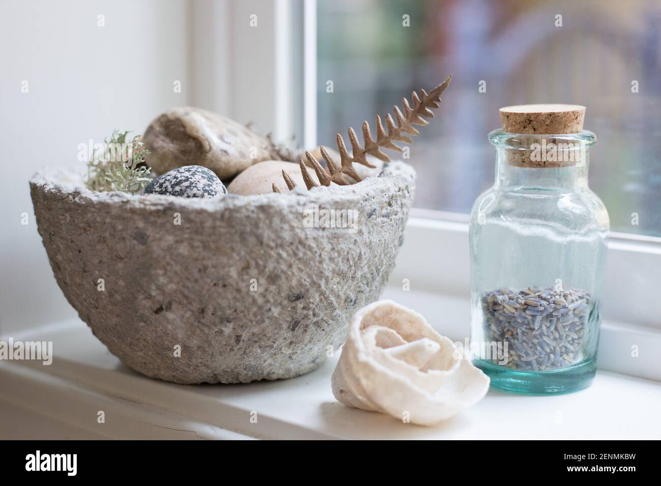 Still life of natural objects on a windowsill. Stock Photo