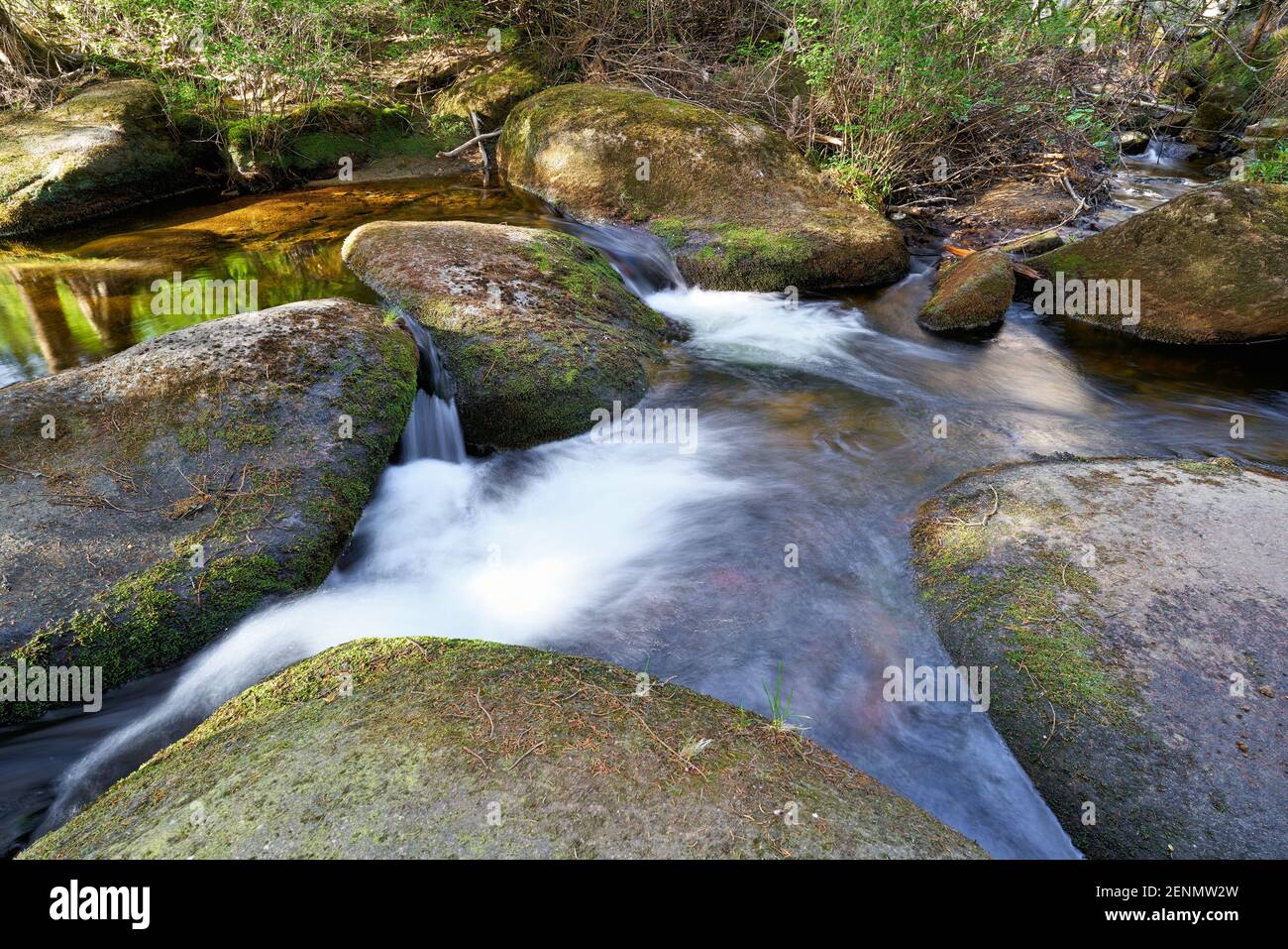 the river kalte Bode in the national park Harz near Schierke in Germany Stock Photo