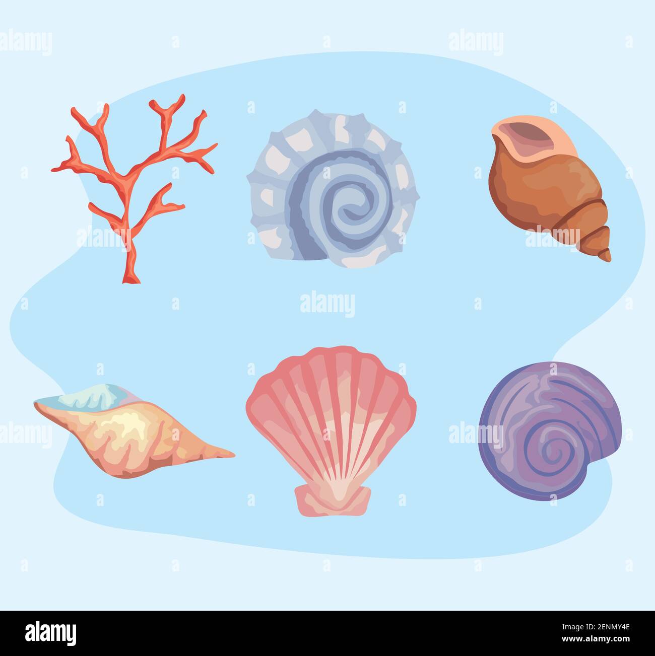 Page 2 Conchs High Resolution Stock Photography And Images Alamy