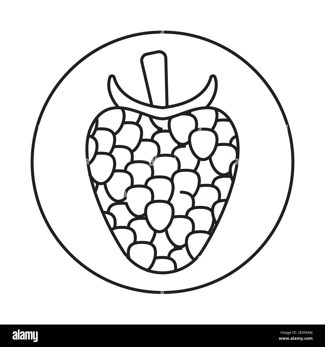 Rounded the raspberry fruit line art icon for apps and websites Stock Vector