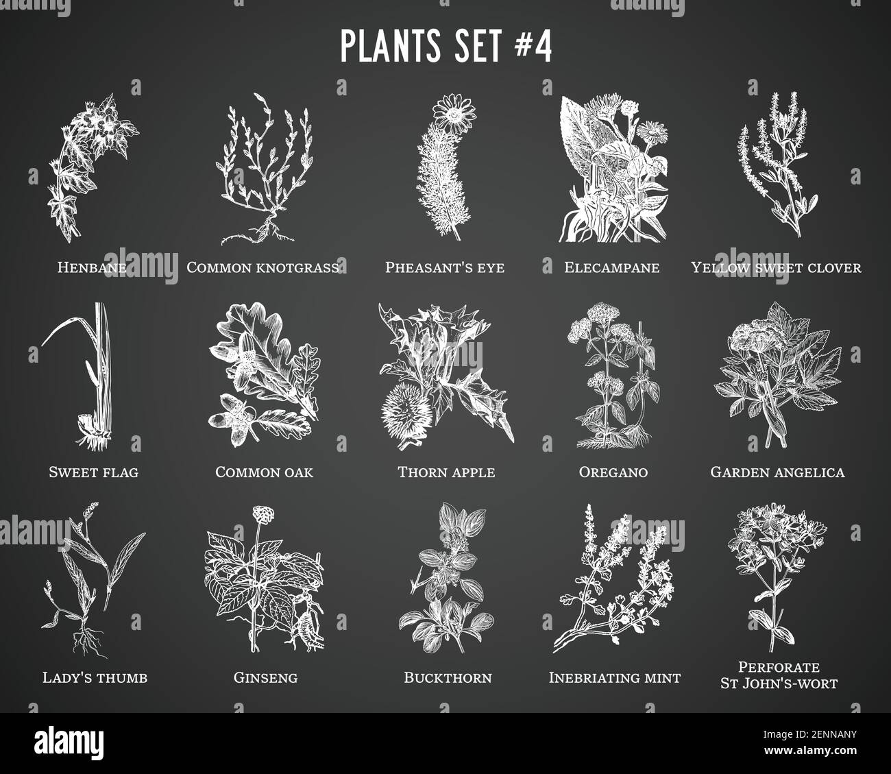 Vector hand drawn plants set on black background Stock Vector
