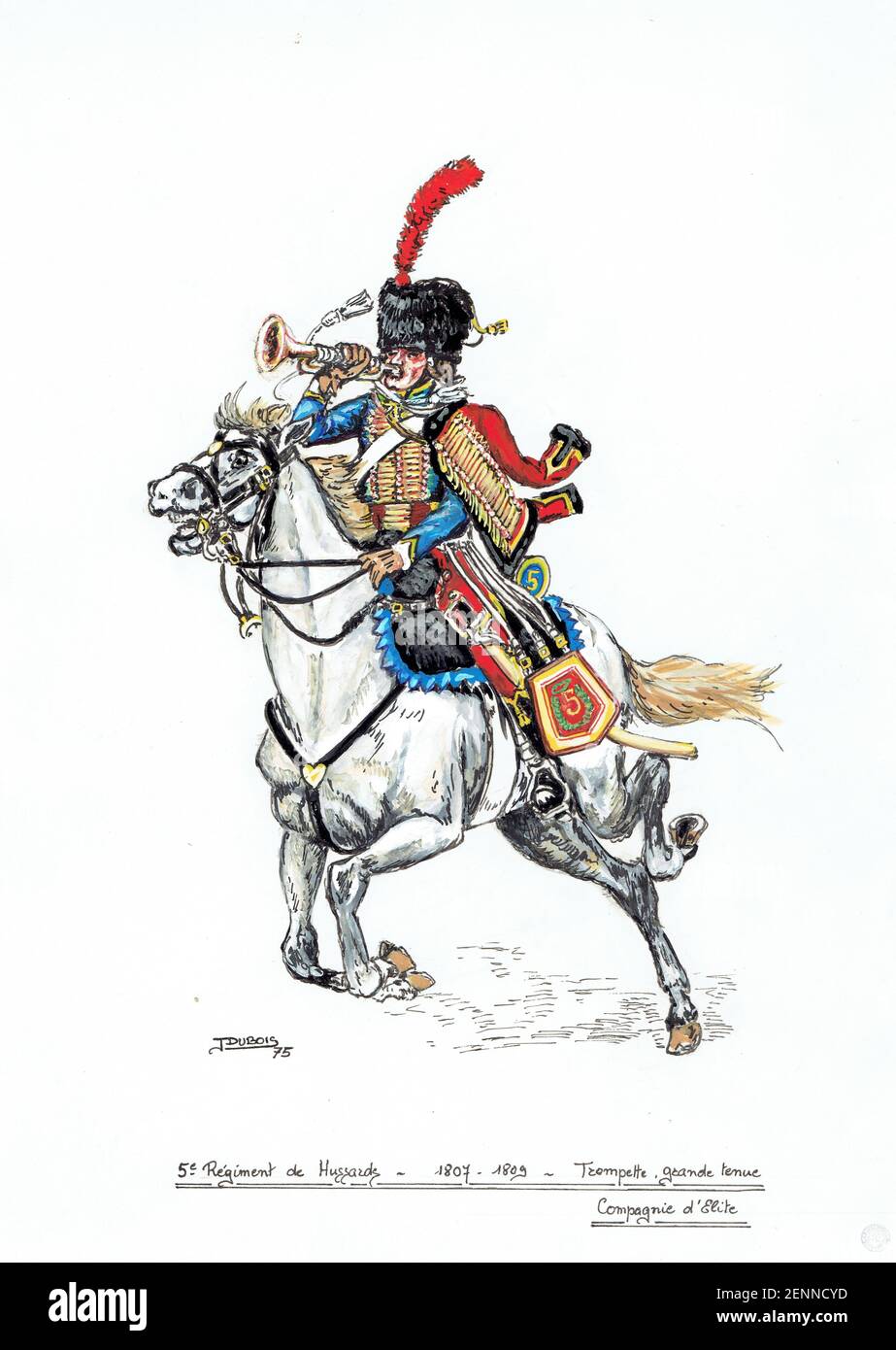 trompette du 5e régiment de hussards 1807 - 1809 Stock Photo