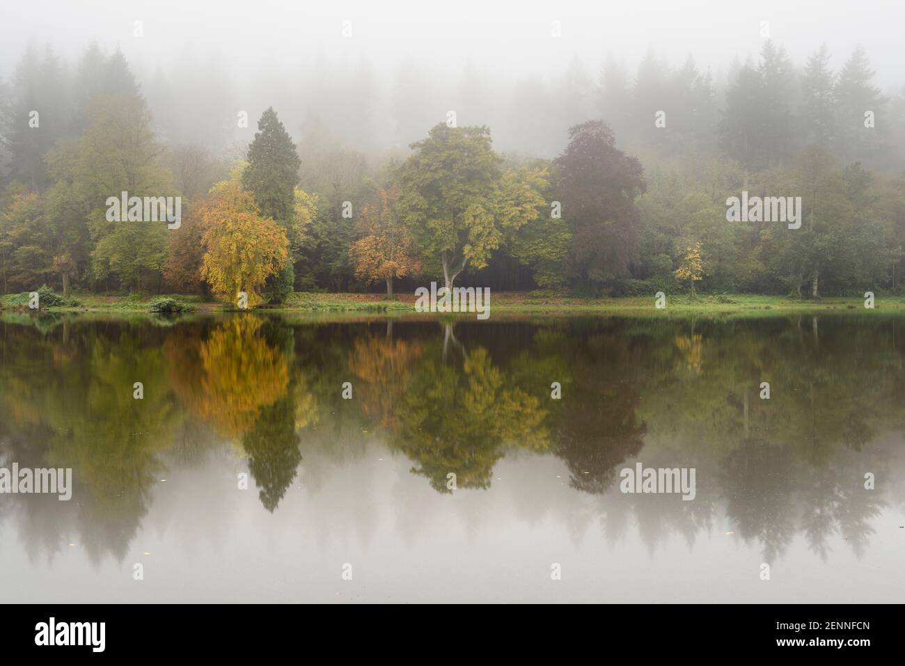 Autumn colours reflected in the calm waters of Shearwater Lake, Wiltshire, UK. Stock Photo