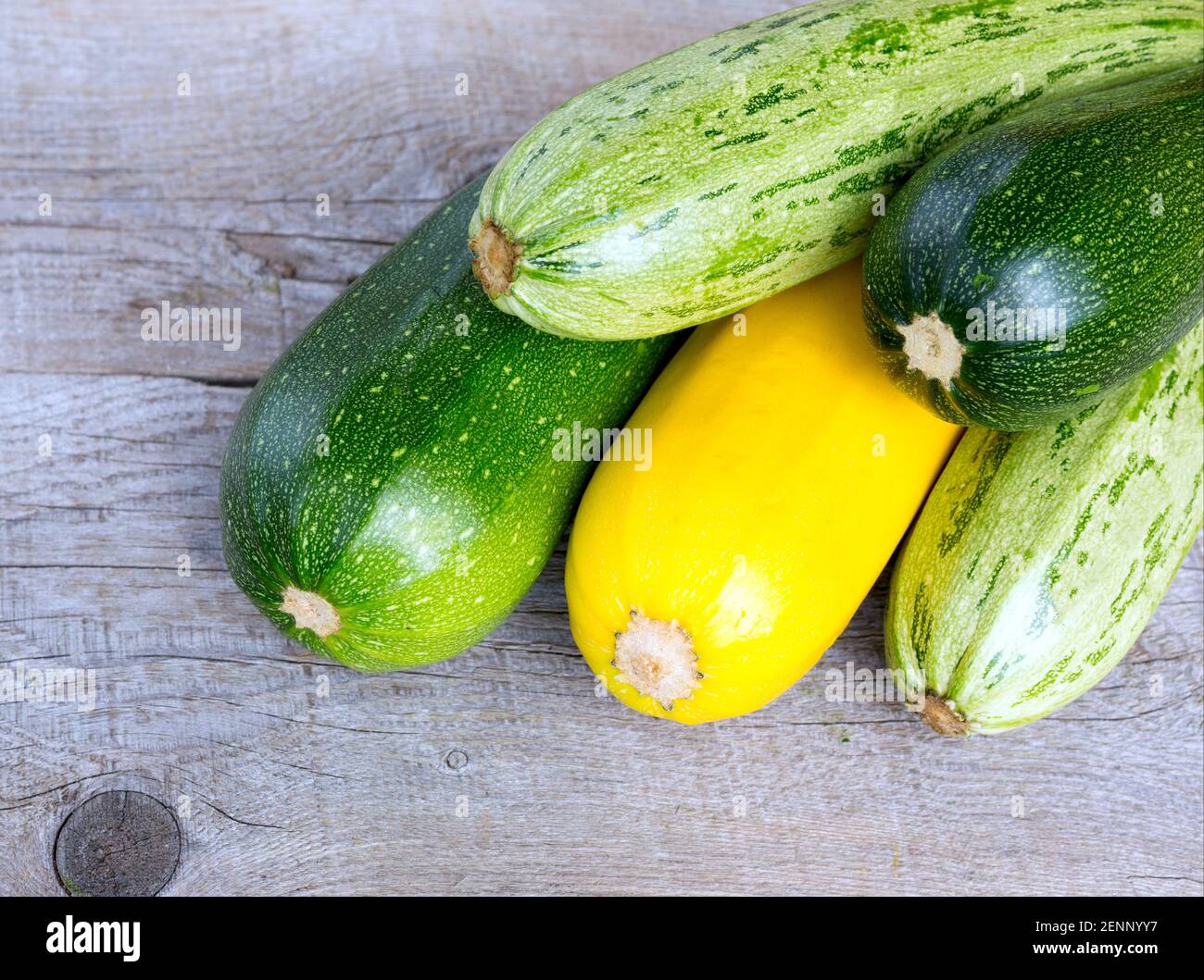 Yellow green marrow hi-res stock photography and images - Alamy