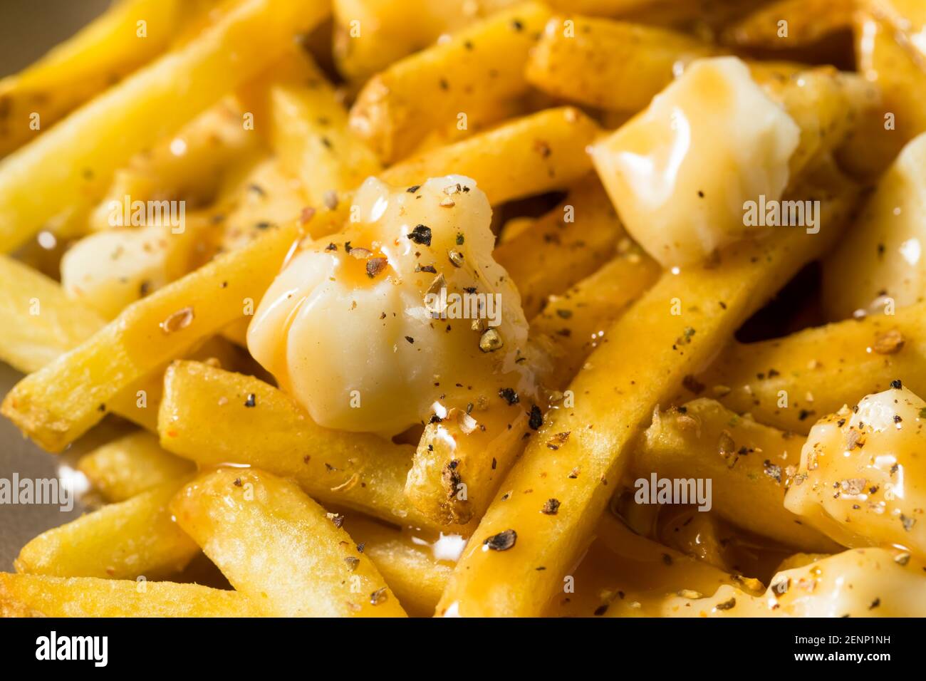 Homemade Unhealthy Canadian Poutine French Fries with Gravy and Cheese