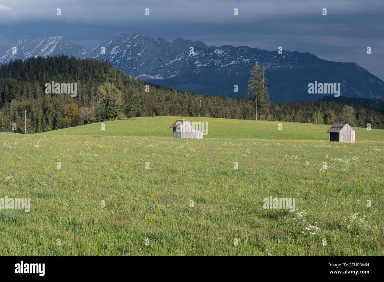 view over a sunny meadow with two grey huts towards Grimming mountain with storm approaching, Pichl Kainisch, Ausseerland, Salzkammergut, Austria Stock Photo