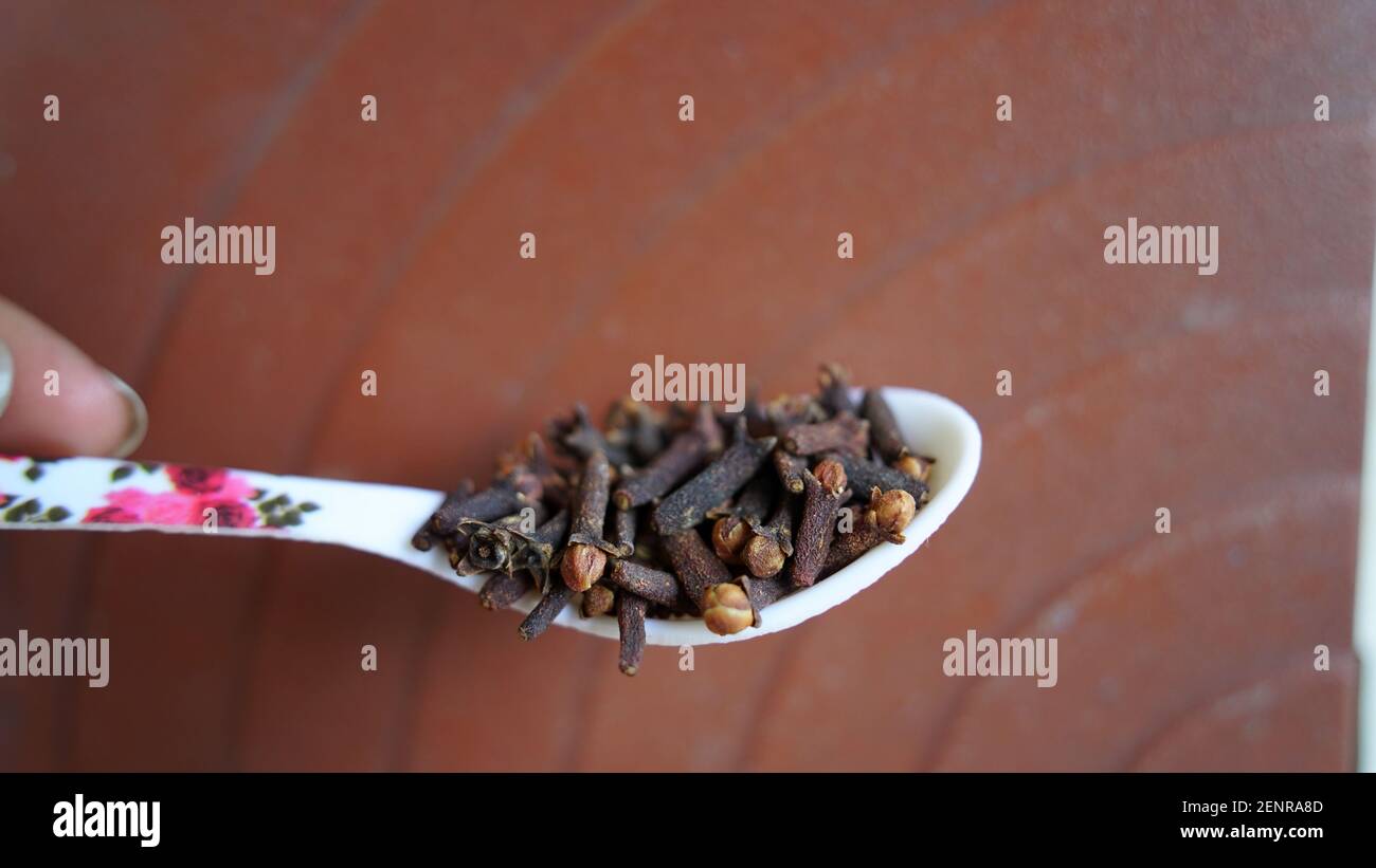 A person holding a cloves spoon on his hand. Indian dry clove spices on rustic background Stock Photo