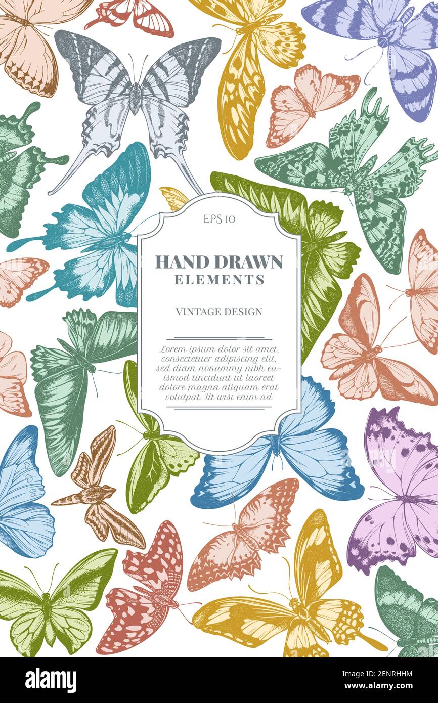 Card design with pastel great orange-tip, emerald swallowtail, jungle queens, plain tiger, rajah brooke's birdwing, papilio torquatus, swallowtail Stock Vector