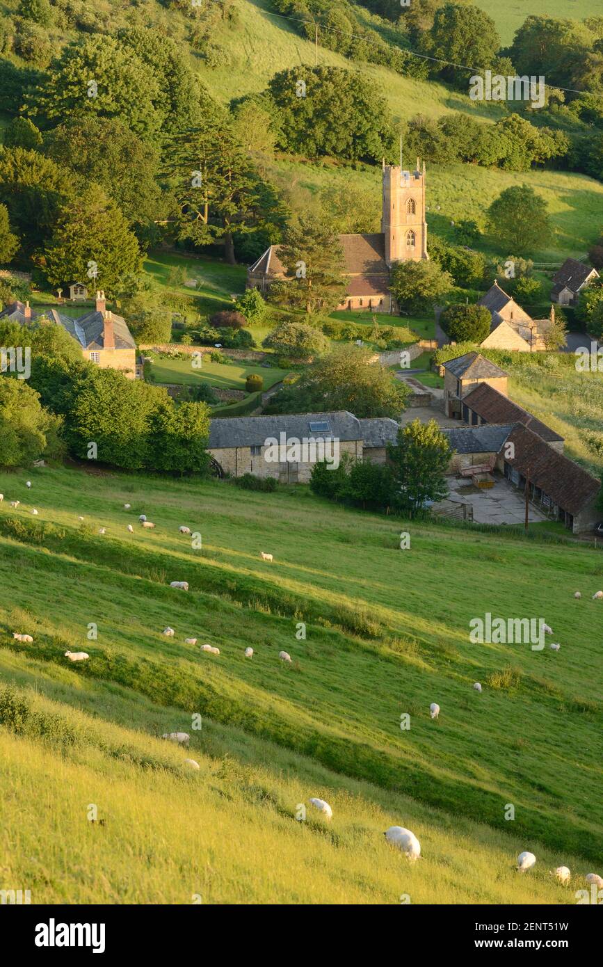View of the quaint, unspoilt village of Corton Denham in Somerset, UK. Stock Photo