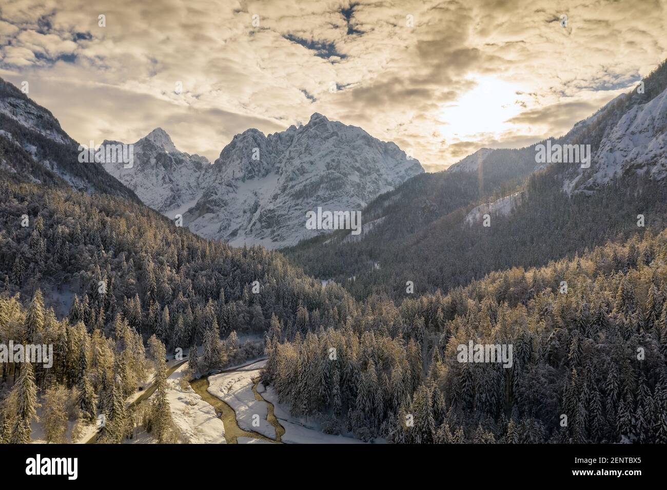 Aerial shot of beautiful winter mountain landscape. Drone moving above valley with snow capped pine forest. Stock Photo