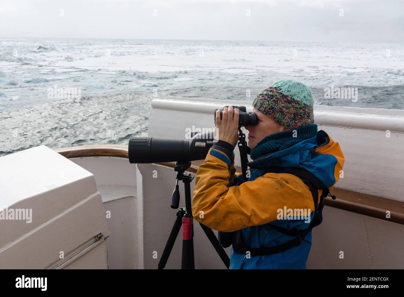 A nature guide of the Ocean Adventurer cruise ship checking for bears, Wahlenberg fjord, Nordaustlandet, Svalbard Islands, Norway. Stock Photo