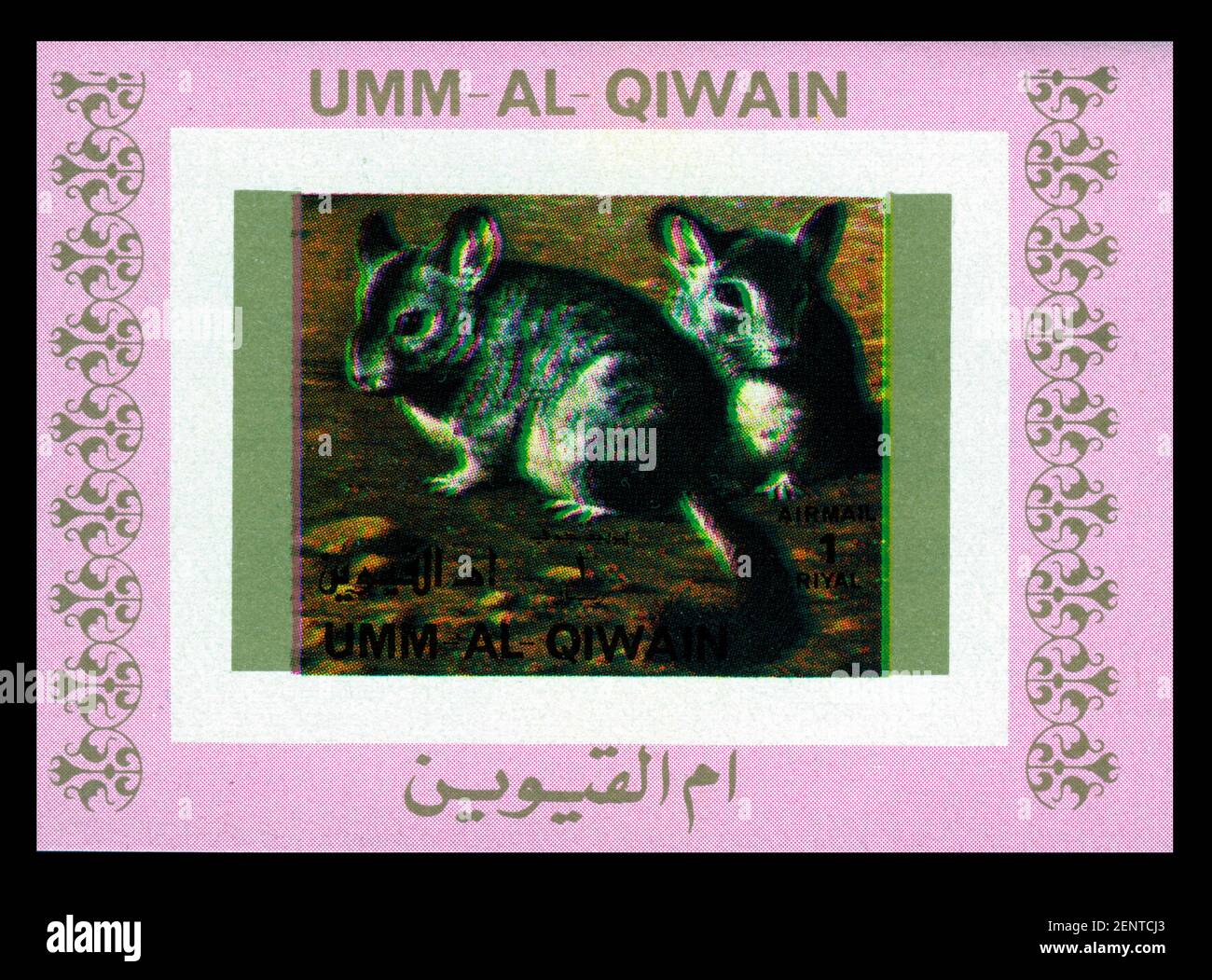 Stamp print in Umm al-Qaiwain, emirate, UAE,animals,chinchillas Stock Photo