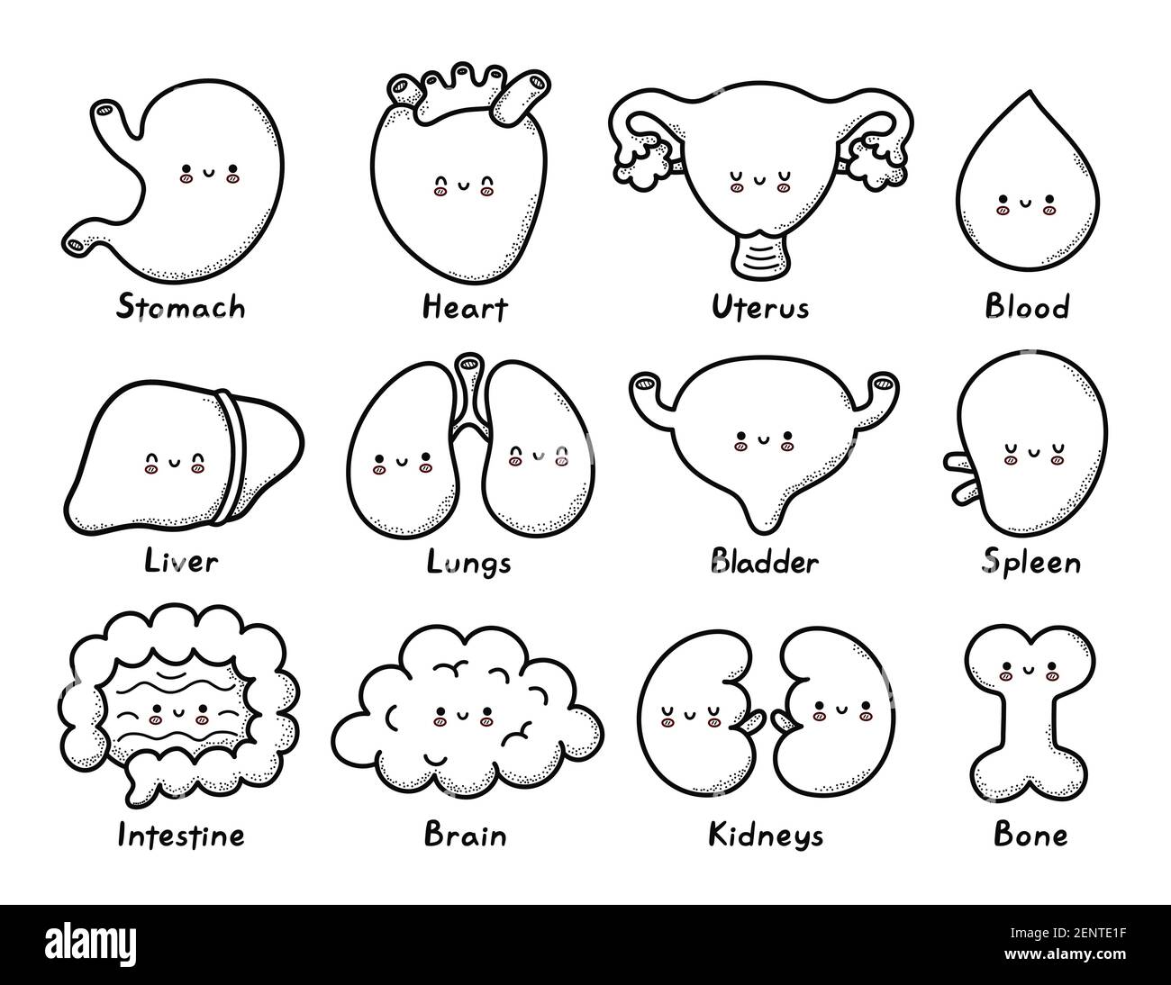 uterus icon vector from human body collection. Thin line uterus