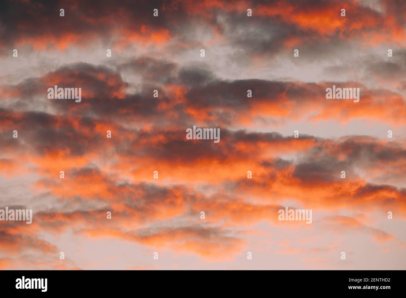 Sunrise Bright Dramatic Sky. Scenic Colorful Sky At Dawn. Sunset Sky Natural Abstract Background In Pink Red Orange Colors. Stock Photo