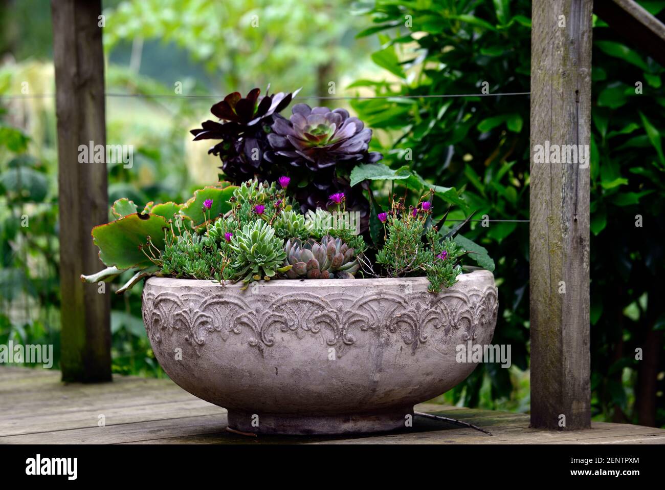Unusual plant pots hires stock photography and images Alamy