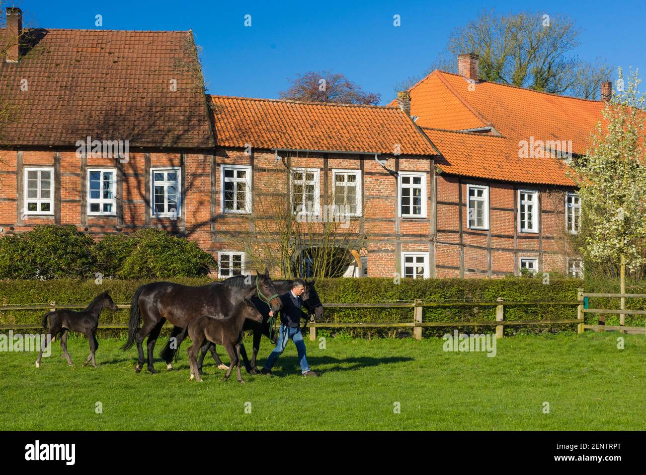 Gut Fuechtel in Vechta Stock Photo