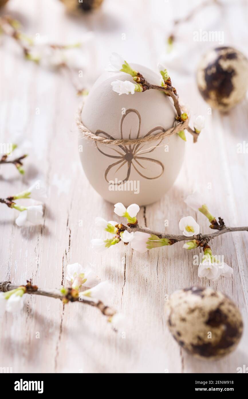 Easter eggs on with cherry branch. Easter decoration with quails eggs Stock Photo