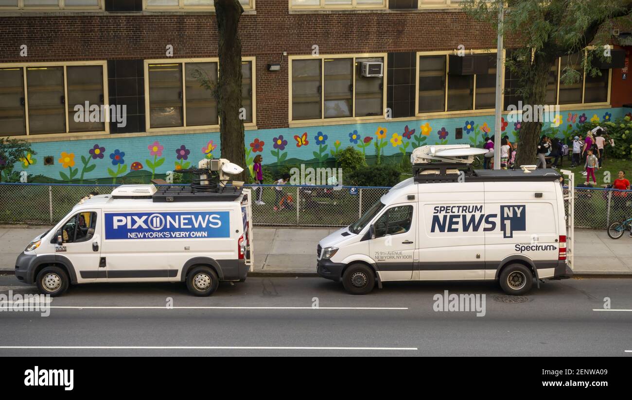 new vans news