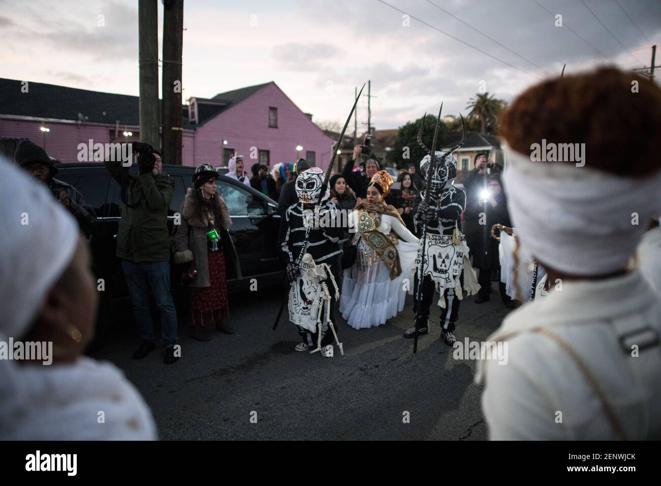 skull and bones mardi gras